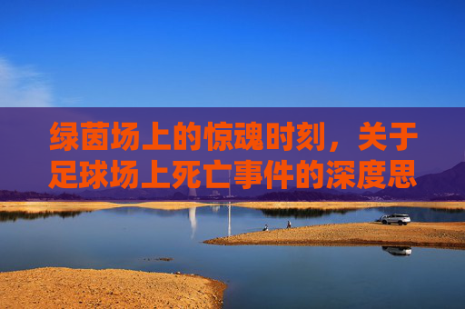 绿茵场上的惊魂时刻,关于足球场上死亡事件的深度思考