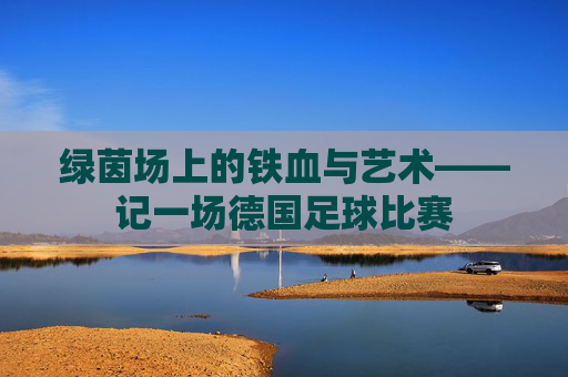 绿茵场上的铁血与艺术——记一场德国足球比赛