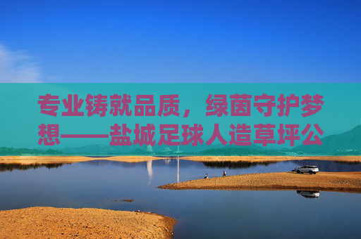 专业铸就品质，绿茵守护梦想——盐城足球人造草坪公司引领行业新标准