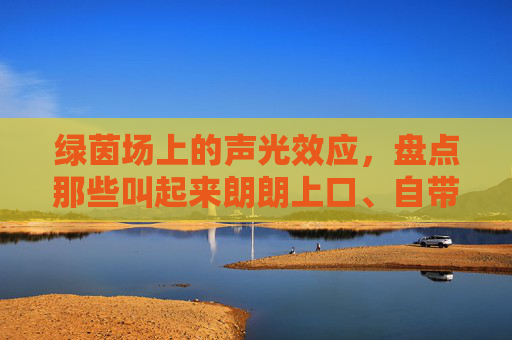 绿茵场上的声光效应，盘点那些叫起来朗朗上口、自带BGM的外援名字