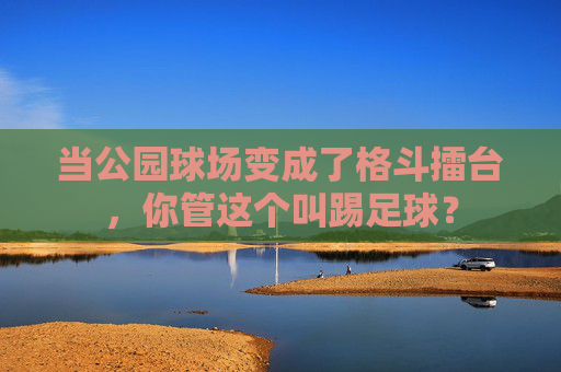 当公园球场变成了格斗擂台,你管这个叫踢足球?
