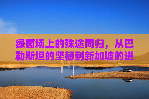 绿茵场上的殊途同归,从巴勒斯坦的坚韧到新加坡的进取