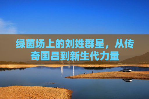 绿茵场上的刘姓群星,从传奇国昌到新生代力量