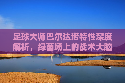 足球大师巴尔达诺特性深度解析,绿茵场上的战术大脑与优雅指挥官