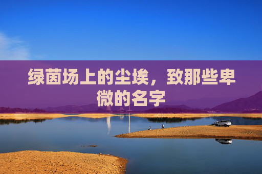 绿茵场上的尘埃，致那些卑微的名字