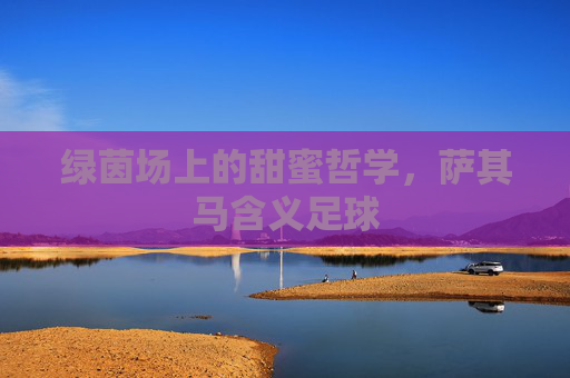 绿茵场上的甜蜜哲学,萨其马含义足球