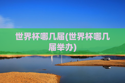 世界杯哪几届(世界杯哪几届举办)