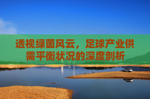 透视绿茵风云,足球产业供需平衡状况的深度剖析