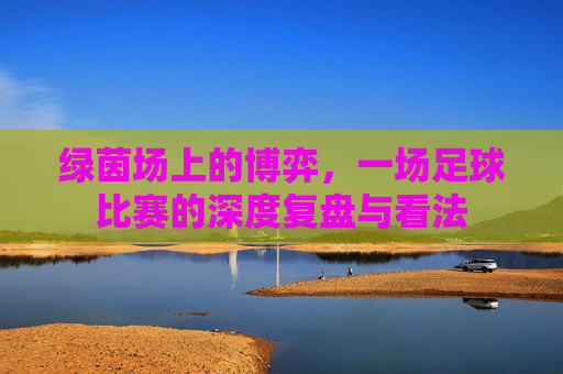 绿茵场上的博弈,一场足球比赛的深度复盘与看法