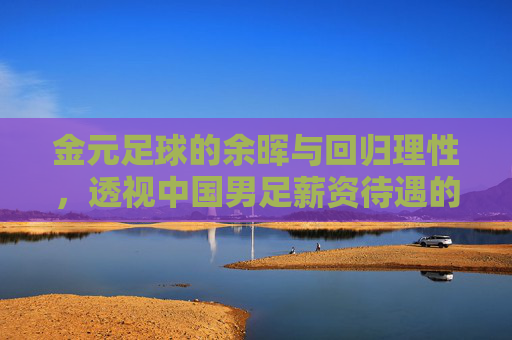 金元足球的余晖与回归理性,透视中国男足薪资待遇的畸形现状