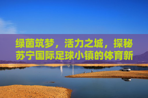 绿茵筑梦,活力之城,探秘苏宁国际足球小镇的体育新地标