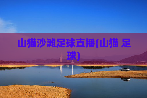山猫沙滩足球直播(山猫 足球)