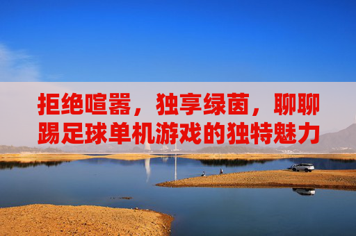 拒绝喧嚣，独享绿茵，聊聊踢足球单机游戏的独特魅力