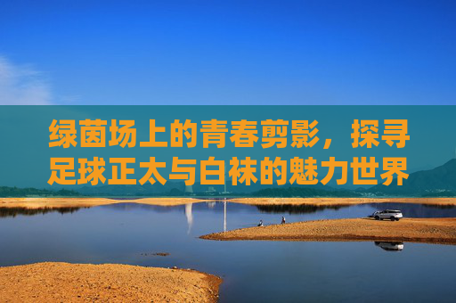 绿茵场上的青春剪影，探寻足球正太与白袜的魅力世界