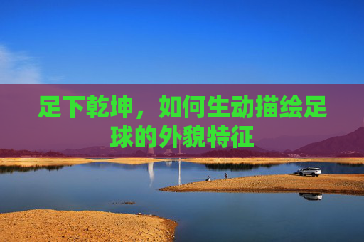 足下乾坤,如何生动描绘足球的外貌特征