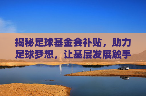 揭秘足球基金会补贴,助力足球梦想,让基层发展触手可及