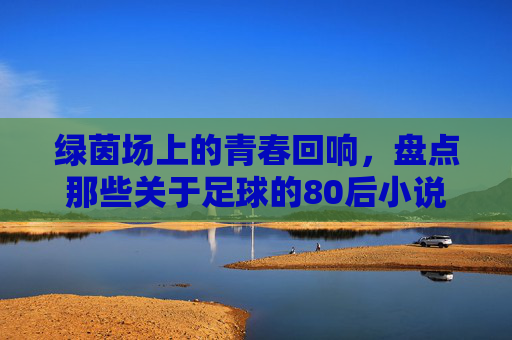 绿茵场上的青春回响,盘点那些关于足球的80后小说