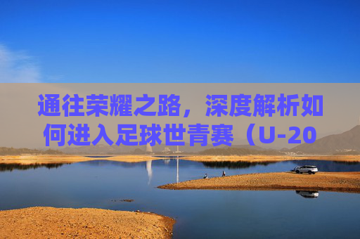 通往荣耀之路,深度解析如何进入足球世青赛(U-20世界杯)
