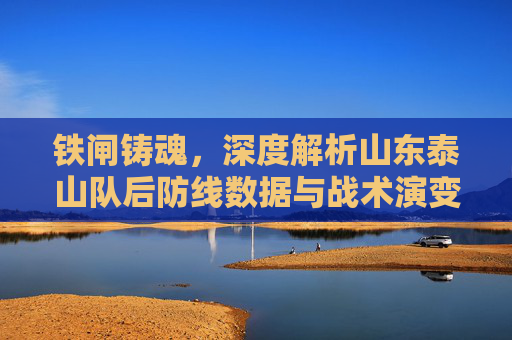 铁闸铸魂，深度解析山东泰山队后防线数据与战术演变