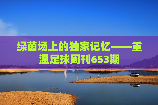 绿茵场上的独家记忆——重温足球周刊653期