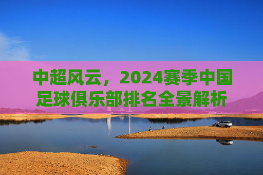 中超风云,2024赛季中国足球俱乐部排名全景解析