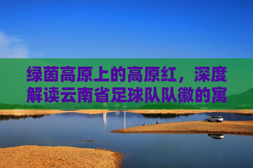 绿茵高原上的高原红,深度解读云南省足球队队徽的寓意与精神