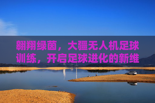 翱翔绿茵，大疆无人机足球训练，开启足球进化的新维度