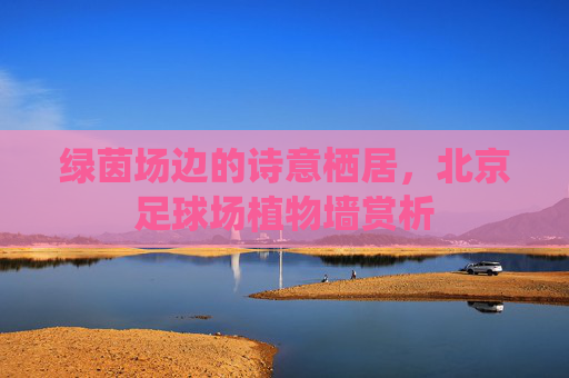 绿茵场边的诗意栖居，北京足球场植物墙赏析