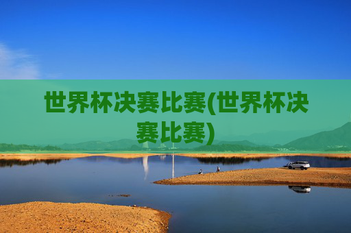 世界杯决赛比赛(世界杯决赛比赛)