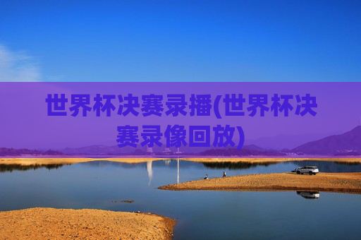 世界杯决赛录播(世界杯决赛录像回放)