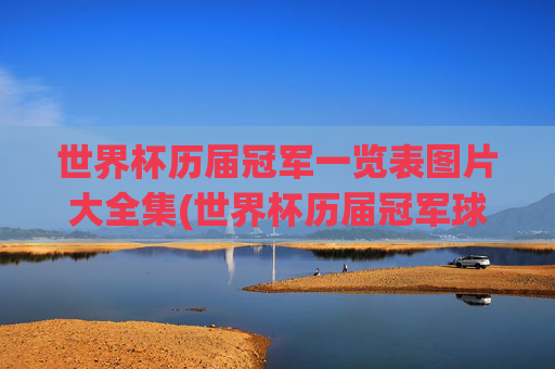 世界杯历届冠军一览表图片大全集(世界杯历届冠军球队)