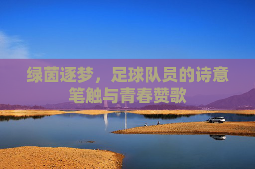 绿茵逐梦,足球队员的诗意笔触与青春赞歌
