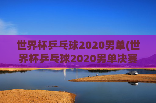 世界杯乒乓球2020男单(世界杯乒乓球2020男单决赛)