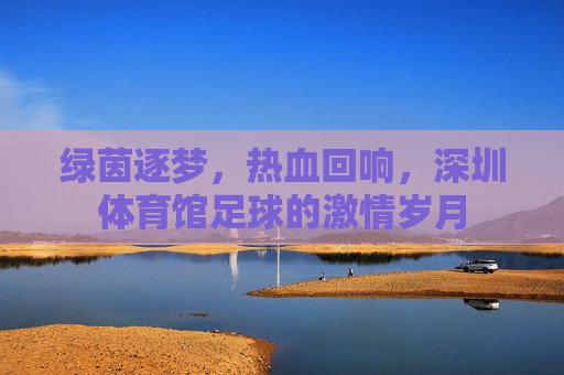 绿茵逐梦,热血回响,深圳体育馆足球的激情岁月