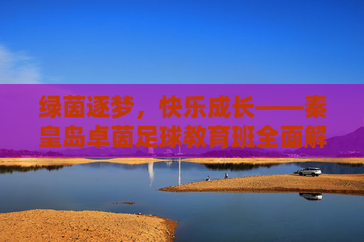 绿茵逐梦,快乐成长——秦皇岛卓茵足球教育班全面解析