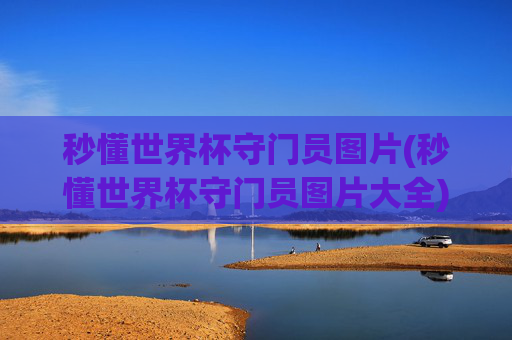 秒懂世界杯守门员图片(秒懂世界杯守门员图片大全)
