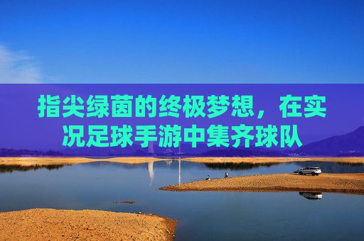 指尖绿茵的终极梦想,在实况足球手游中集齐球队