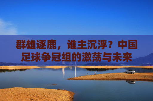 群雄逐鹿,谁主沉浮?中国足球争冠组的激荡与未来