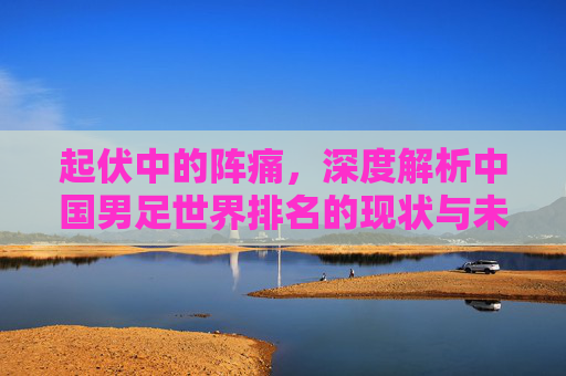 起伏中的阵痛,深度解析中国男足世界排名的现状与未来