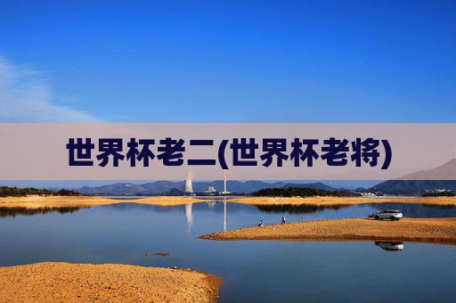 世界杯老二(世界杯老将)