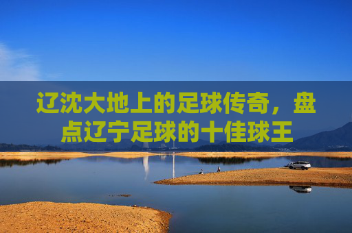 辽沈大地上的足球传奇，盘点辽宁足球的十佳球王