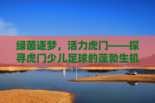 绿茵逐梦,活力虎门——探寻虎门少儿足球的蓬勃生机
