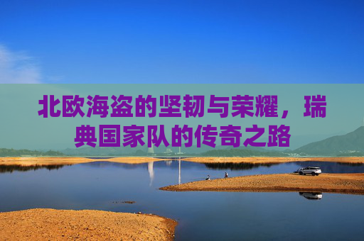 北欧海盗的坚韧与荣耀,瑞典国家队的传奇之路