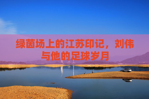 绿茵场上的江苏印记，刘伟与他的足球岁月