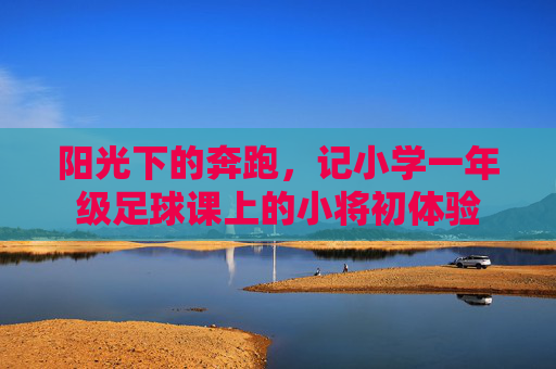 阳光下的奔跑，记小学一年级足球课上的小将初体验