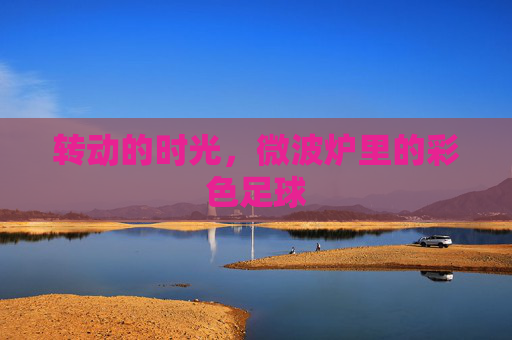 转动的时光,微波炉里的彩色足球
