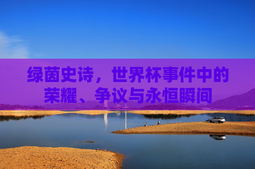 绿茵史诗,世界杯事件中的荣耀、争议与永恒瞬间