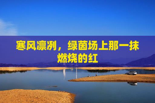 寒风凛冽,绿茵场上那一抹燃烧的红