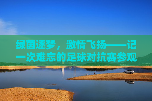 绿茵逐梦,激情飞扬——记一次难忘的足球对抗赛参观表演