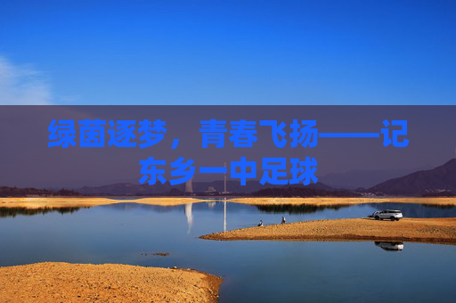 绿茵逐梦,青春飞扬——记东乡一中足球